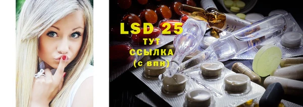 ешки Алзамай