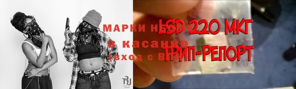 ешки Алзамай